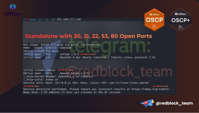 OSCP+ Standalone with 20, 21, 22, 53, 80 Open Ports